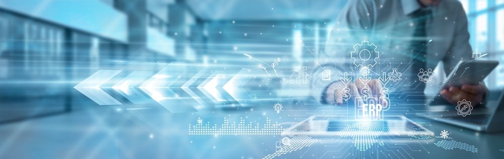 ERP Implementation Consultants